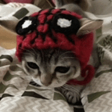 a cat wearing a red knitted hat with black eyes is laying on a bed .