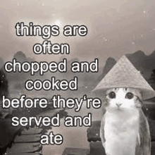 a cat wearing a hat is standing in front of a river .