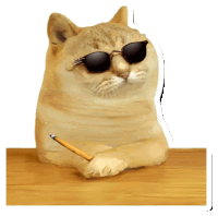 a cat wearing sunglasses sits at a table with a pencil