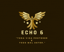 a logo for echo 6 with a golden eagle on a brown background