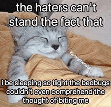 a cat laying on a bed with a caption that says " the haters can 't stand the fact that i be sleeping