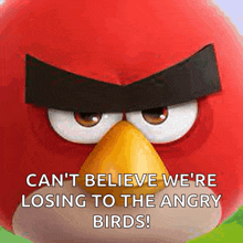 a red angry bird says " can t believe we 're losing to the angry birds "