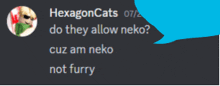 a blue speech bubble says " do they allow neko " next to a picture of a cat