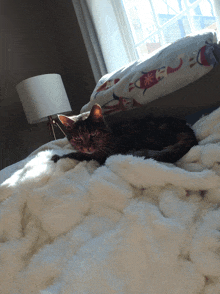 a cat laying on a bed with a white blanket and a lamp