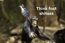 a chimpanzee holding a grenade on its head with the words think fast shitass written below it