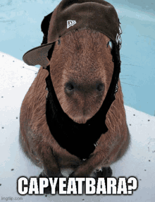 a capybara wearing a hat and scarf with the caption capyeatbara ?