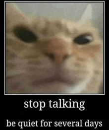 a picture of a cat with the words " stop talking be quiet for several days "