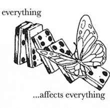 a black and white drawing of a butterfly and dominoes with the words `` everything affects everything '' .