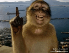 a monkey giving the middle finger with a caption that says " from tiktok comment "
