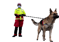 a man wearing a mask and a yellow jacket is walking a german shepherd on a leash