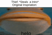 a fish with the words thief * steals a intro * original inspiration helo