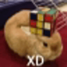 a cat is laying on the floor with a rubik 's cube in its paws .