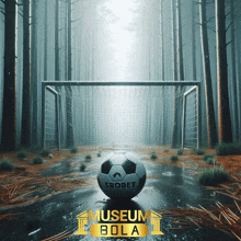 a soccer ball with the word sbobet on it sits in front of a goal