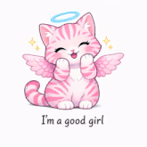 a pink cat with angel wings and the words " i 'm a good girl " on the bottom