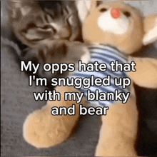 a cat is sleeping next to a teddy bear that says my opps hate