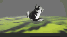 a black and white dog is flying through the air on a green field