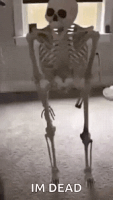 a skeleton is standing in a room in front of a window .
