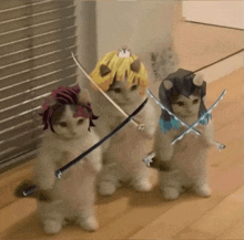 three cats with swords in their paws are standing next to each other on a wooden floor