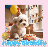 a small dog wearing a party hat sits next to a birthday cake