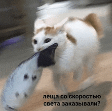 a cat is holding a fish in its mouth with a caption in russian asking if they ordered it