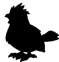 a silhouette of a chicken with a feathered head and tail on a white background .