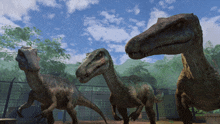 a group of dinosaurs standing next to each other