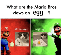 a picture of mario and luigi says what are the mario bros views on egg ?