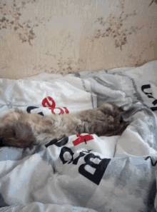 a cat is laying on a bed with a blanket that has the word bro on it