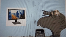 a cartoon of a man taking a picture of a computer monitor with a print screen button