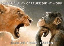 a lion and a chimpanzee looking at each other with a caption that says i did it