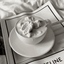 a cup of ice cream is on a saucer on top of a celine magazine