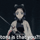 a picture of a girl holding a sword with the words " toru is that you " below her