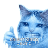a cat with ice on its face is giving a thumbs up sign