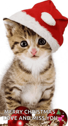 a kitten wearing a santa hat with the words merry christmas love and miss you