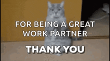 a cat is sitting on its hind legs and saying `` for being a great work partner , thank you '' .