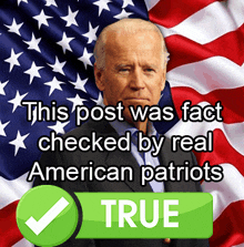 a picture of joe biden in front of an american flag with the caption " this post was fact checked by real american patriots true "