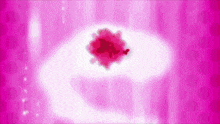 a pink background with a red flower in the middle