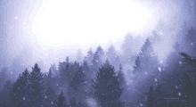 a screen shot of a snowy forest with a purple background