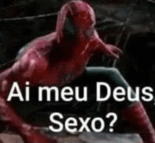 a picture of a spiderman with the words `` ai meu deus sexo ? ''