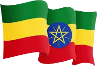 the flag of ethiopia has a blue star on it