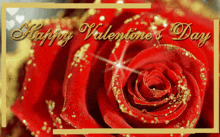 a happy valentine 's day card with a red rose in the foreground