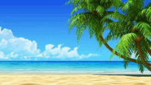 a tropical beach with a palm tree and the ocean in the background .