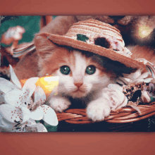 a cat wearing a hat is laying in a basket with flowers