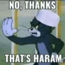 a cartoon of tom and jerry saying `` no thanks that 's haraam '' .