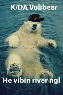 a polar bear wearing a hat and chain is in the water