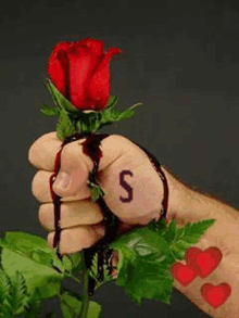 a hand with the letter s on it is holding a red rose .