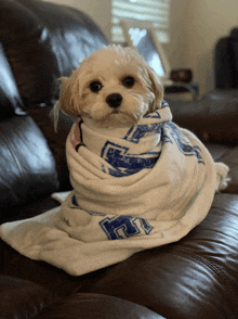 a small dog is wrapped in a blanket with the letter l on it