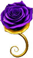 a purple rose with a gold swirl in the middle