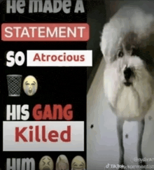 a picture of a dog with the words he made a statement so atrocious his gang killed him
