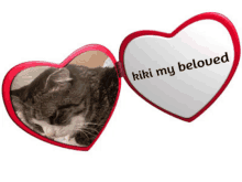 a heart shaped mirror with a picture of a cat and the words ' riki my beloved ' on it